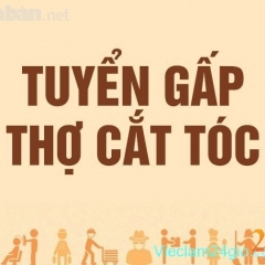 Tuyển Thợ Cắt Tóc Nam Nữ Ở Bình Tân