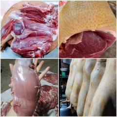 Cung Cấp Thịt Heo Rừng, Cung Cấp Thịt Nai